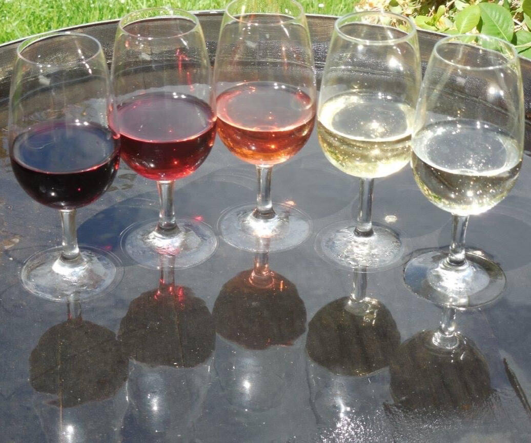 Tasting The Lot! Red, Rose, White and sparkling wines of the Lot Valley